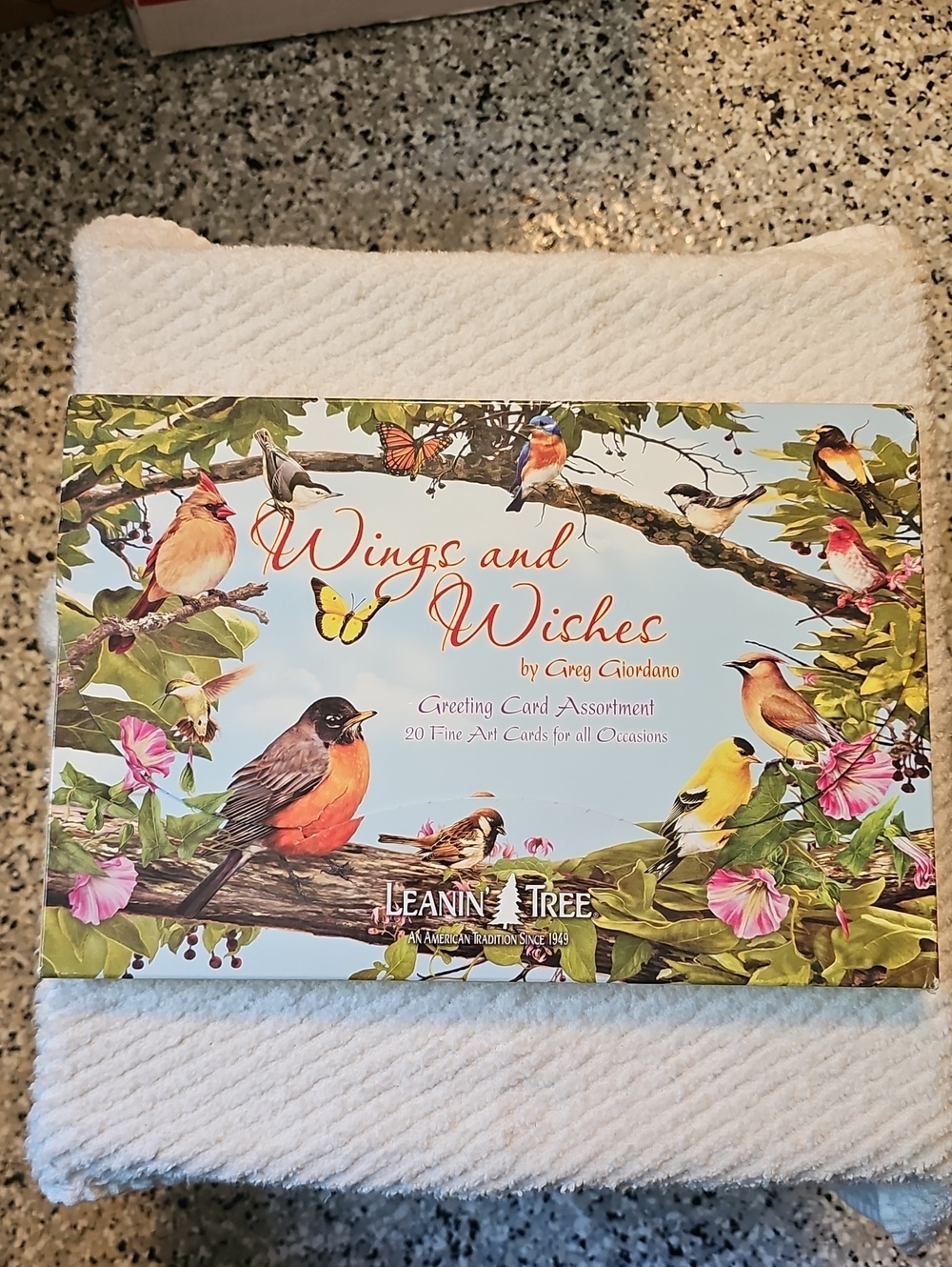 Wings and Wishes Greeting Card Assortment - Colorful Bird Art